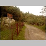 Wir ernten nahe bei einer alten Tempelruine Wir ernten nahe bei einer alten Tempelruine